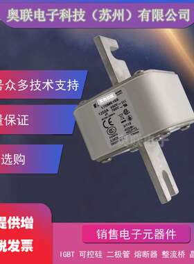 巴斯曼熔断器170M5308 170M5309 170M5310 170M5311 170M5312电容