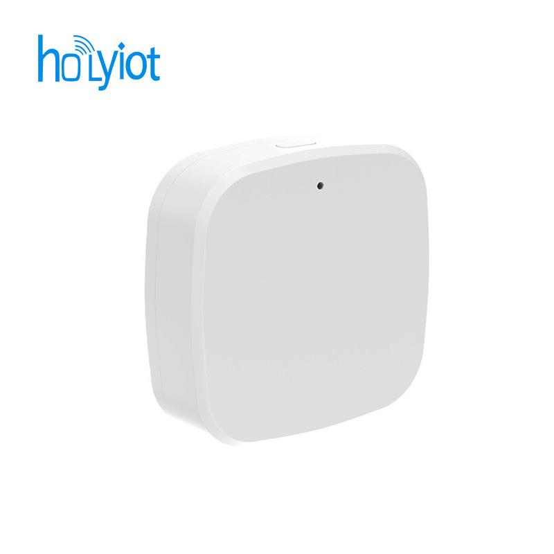 Holyiot-L1数据记录仪低功耗蓝牙带加速度计气压计温度湿度传感器