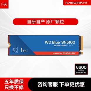 闪迪固态硬盘sn5100m.2接口WD西部数据SN51001T/2T固态硬盘SSD