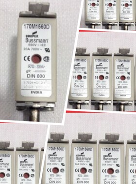 170M1560D 170M1563D 170M1565D 170M1567D 170M1570D 170M1572D