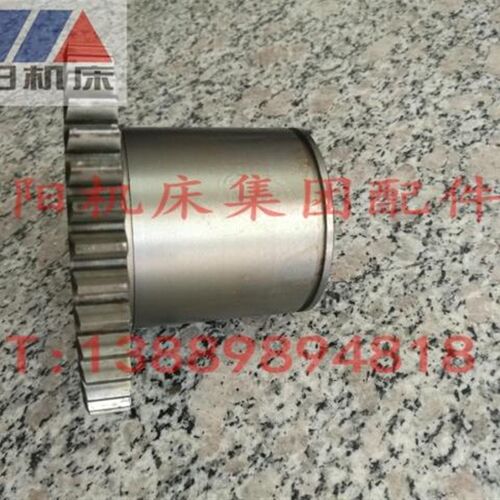 沈阳机床 CW6163BCW6180B齿轮2061齿数38正品保障原厂配套