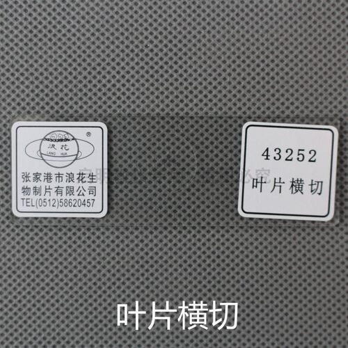 中小学科学生物实验课用43252叶片横切永久装片浪花牌涂片玻片