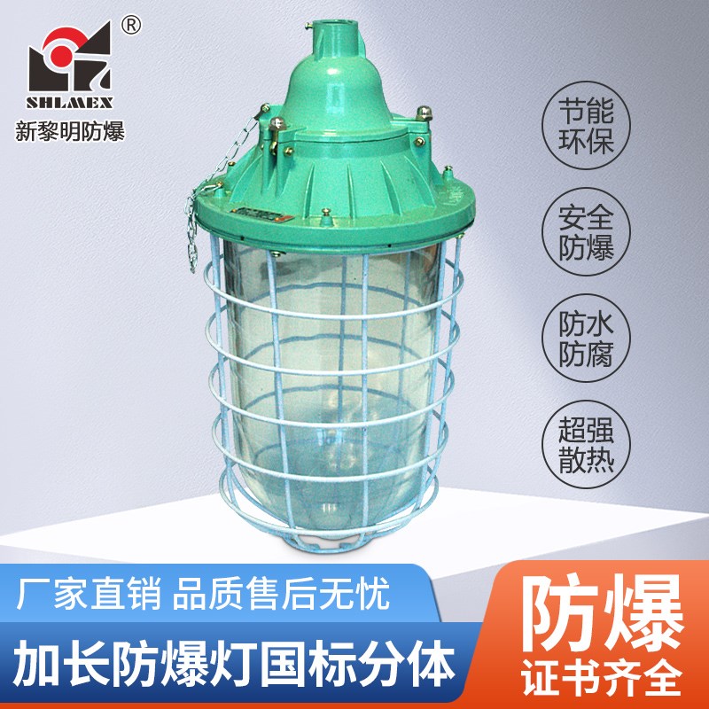 上海新黎明隔爆型防爆灯BCD-100-250W 加长型配节能灯LED国标原厂
