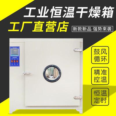 电热恒温鼓风干燥箱实验室试验高温箱烘干机老化试验箱工业烘烤箱