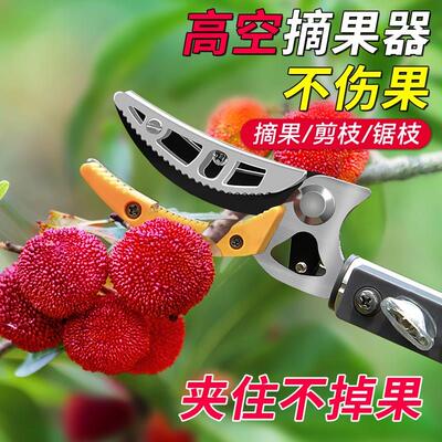 摘水果神器伸缩杆高空摘果枇杷荔枝杨梅龙眼采摘器高枝剪剪专用刀