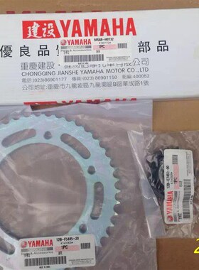 原厂天剑王YBR250套链/链轮/飞致250套链/YS250三件套/齿轮/套齿