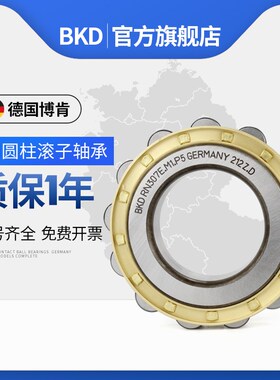 德国BKD进口圆柱滚子轴承RN304 305 306 307 308 309 310EM/P5