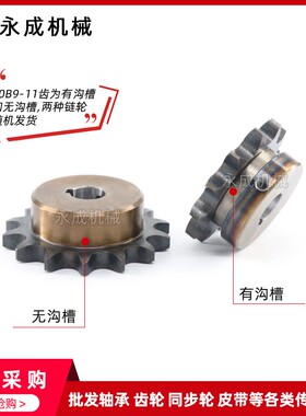 SCS 6分60B17齿高品质成型孔链轮12A17T 外径113精车内孔键槽顶丝