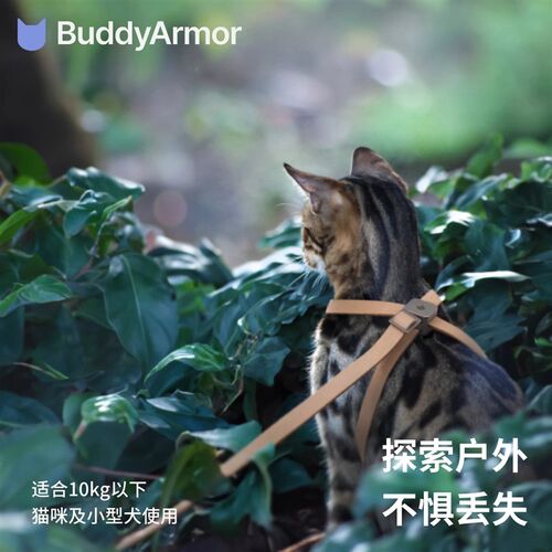 BuddyArmor猫咪胸背带牵引绳一体款防挣脱走丢外出德文阿比遛猫绳