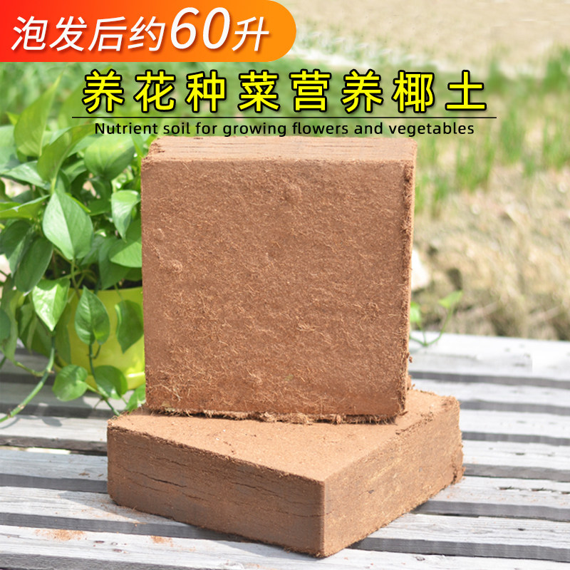 大块椰砖脱盐9斤清仓包邮特价椰砖营养土通用型养花种菜椰土椰糠