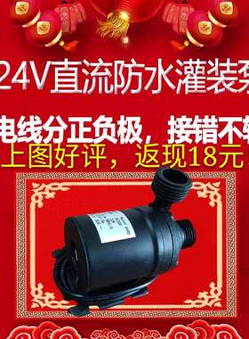 天天一泉灌装泵24V水泵灌装机泵售水直流潜水泵四分水泵