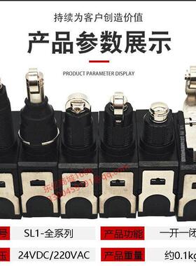微动行程限位开关SLP SL1-A E H D P B SL1-AK EK DK HK A1 AC PK