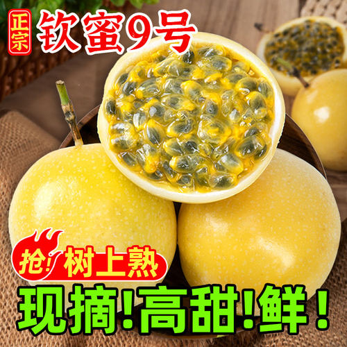 【精品】广西钦蜜9号黄金百香果新鲜水果包邮3斤超大果白香黄金果
