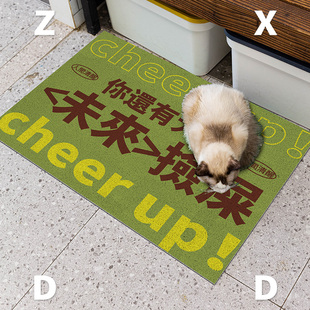 左咸敦道宠物pvc丝圈地垫防猫砂带出门垫入户门口进门垫子除尘