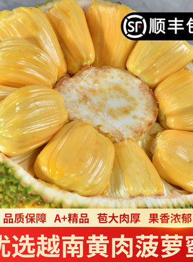 越南进口黄肉菠萝蜜包邮整果大果