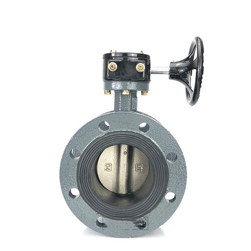 极速D341X-10/16C铸钢法兰涡轮蝶阀DN40-1200橡胶软密封中线碳钢