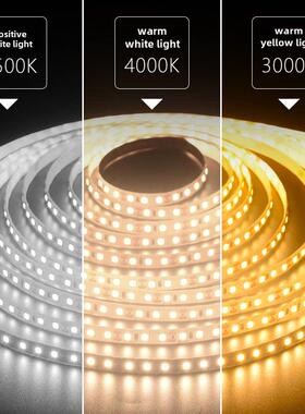 雷士照明Led低压灯条12V不干胶户外2835贴片高亮度家装24V灯条