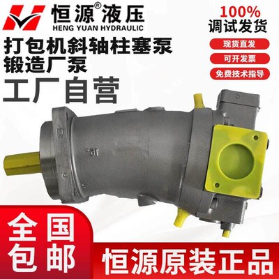 恒源液压HA7V160LV2.0RPF00/A7V117/107打包机斜轴柱塞泵锻造厂泵