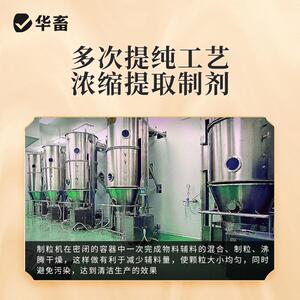 华畜黄芪颗粒兽用猪牛羊鸡鸭鹅用黄芪粗提物黄芪多糖抗应激添加剂