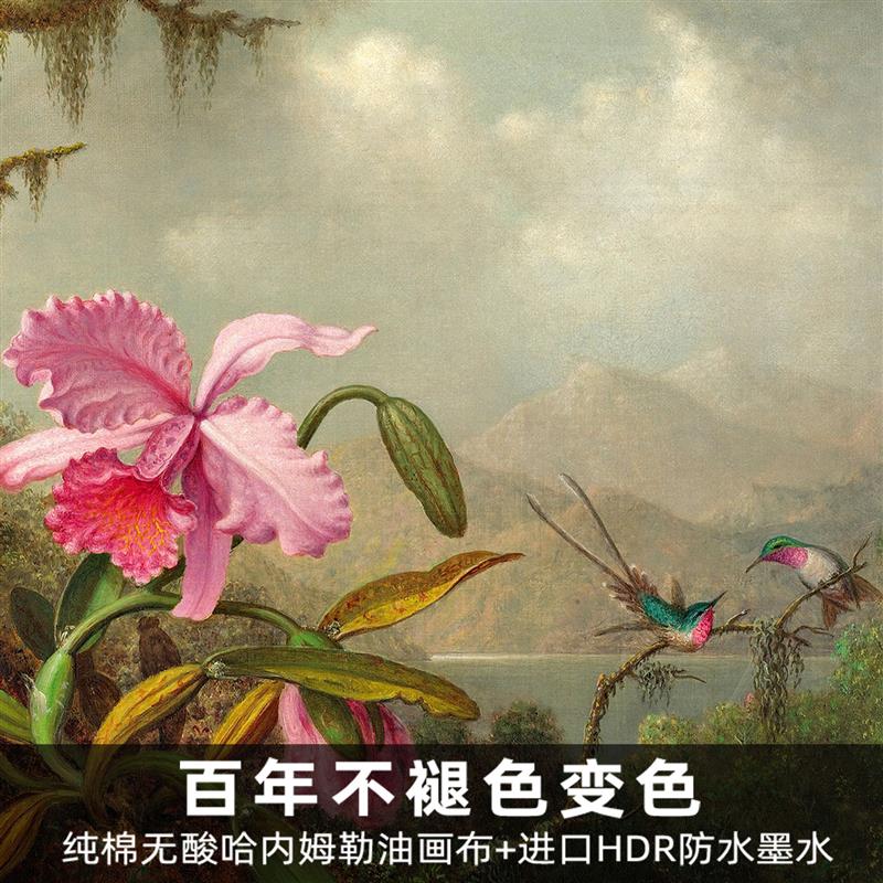 风色兰花与蜂鸟古典花鸟油画美式欧式餐厅卧室装饰画实木框挂画