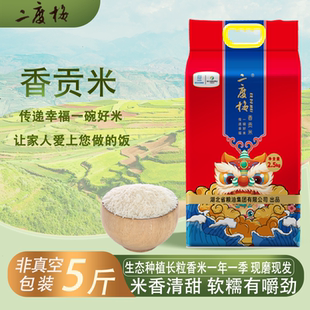 二度梅香贡米5斤非真空包装长粒大米新米猫牙米茉莉香米优质原粮