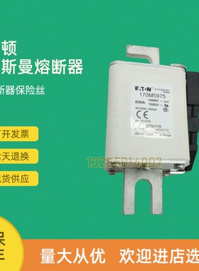 全新快速熔断器保险170M5959 170M5960 170M5961 170M5966