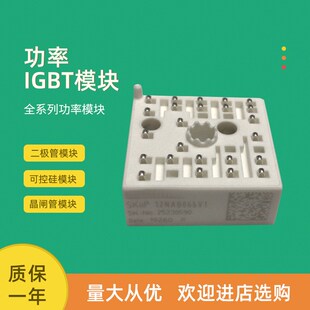 功率IGBT模块SKiiP30NAB12T1 SKiiP30NAB12T10 SKiiP30NAB12T11