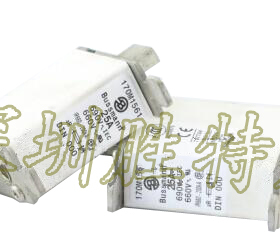 美国原装BUSSMANN保险丝170M1568  125A/690V