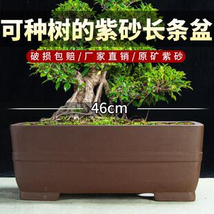 宜兴特大号紫砂长方盆加长加宽室外阳台绿植花卉种树陶瓷盆景盆