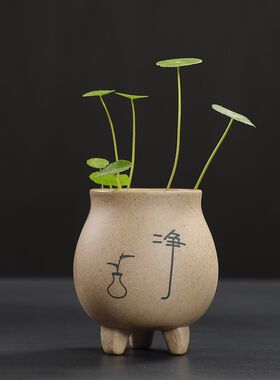 创意禅意粗陶水培小花器摆件水皿陶瓷特价茶盘茶宠花器桌面装饰