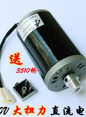 直流220V 200W 2500转 双滚珠轴承马达 车床改装 台钻改装电机