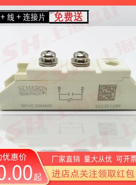 全新压敏模块SKVC20A460C浪涌保护器251电力电子发电机电阻模块