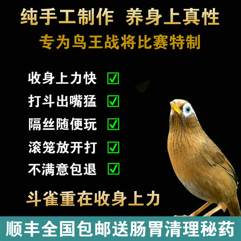 白子画AA手工画眉斗鸟食雀王比赛打大彩饲料提性壮膘收身上力专用