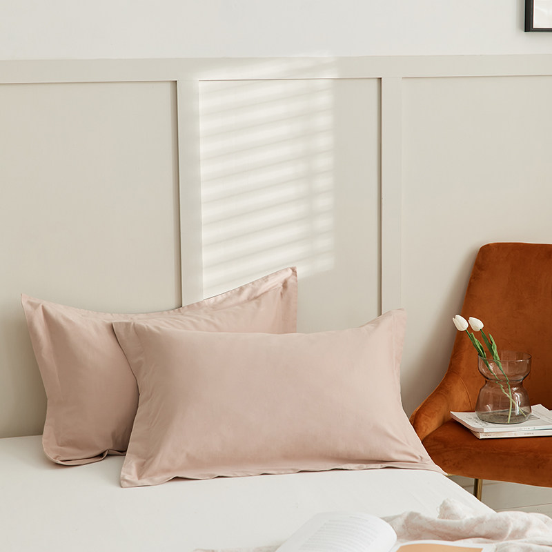 【微绒感磨毛100支全棉枕套一对装绒整套加厚保暖枕头套枕头袋