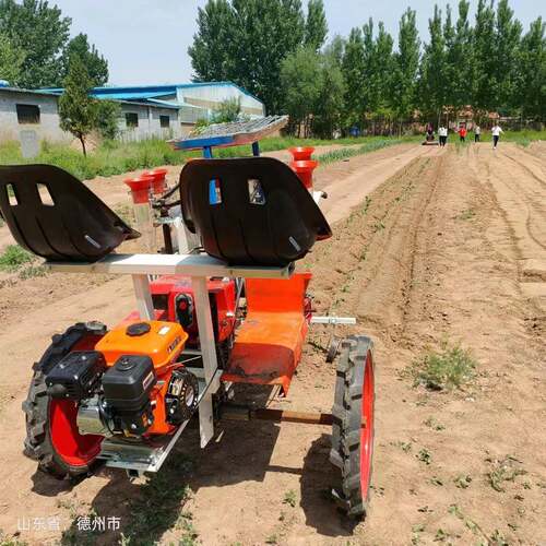 全自动秧苗移栽机蔬菜大棚苗种植机乘坐式瓜果栽苗移植器