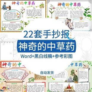 中草药手抄报神奇的电子版模板小学生介绍中医药文化小报线稿a3a4