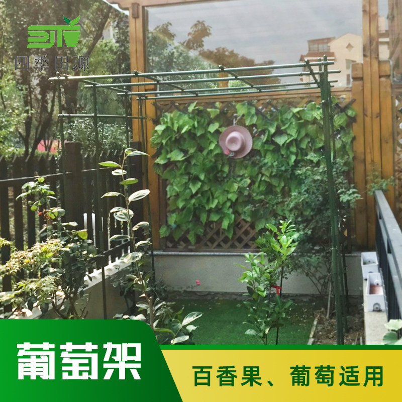 葡萄架子户外室外园艺爬藤架包塑钢管爬藤支架百香果葡萄攀爬架子
