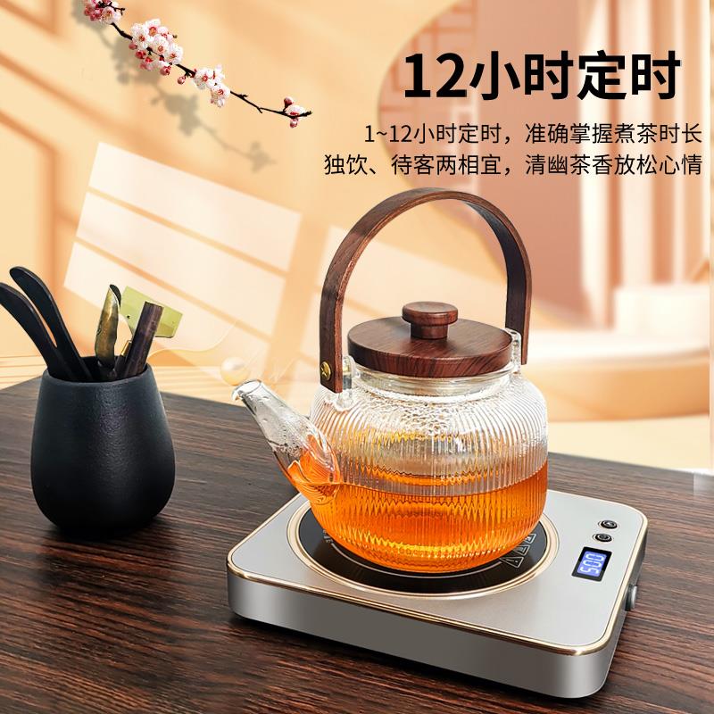 煮茶电陶炉耐高温快速烧开蒸煮茶器2024年新款烧水壶泡茶茶具套装