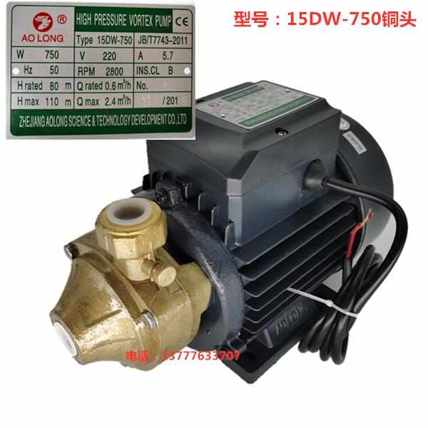 奥龙水泵 15DW750瓦高压旋涡泵蒸汽发生器电加热颗粒锅炉水泵配件