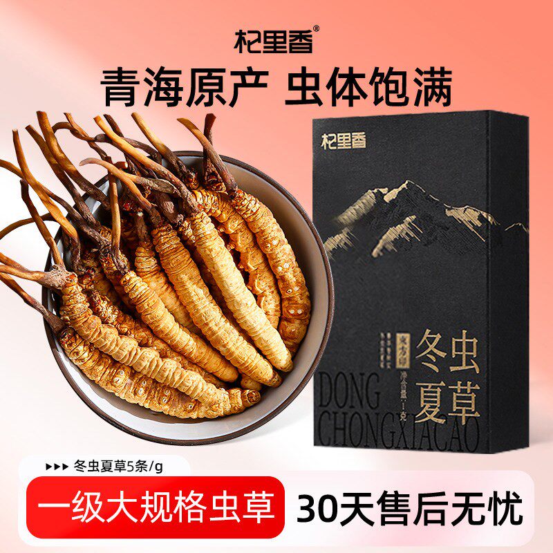 杞里香冬虫夏草1克（约5根/克）无断草虫草干货头期