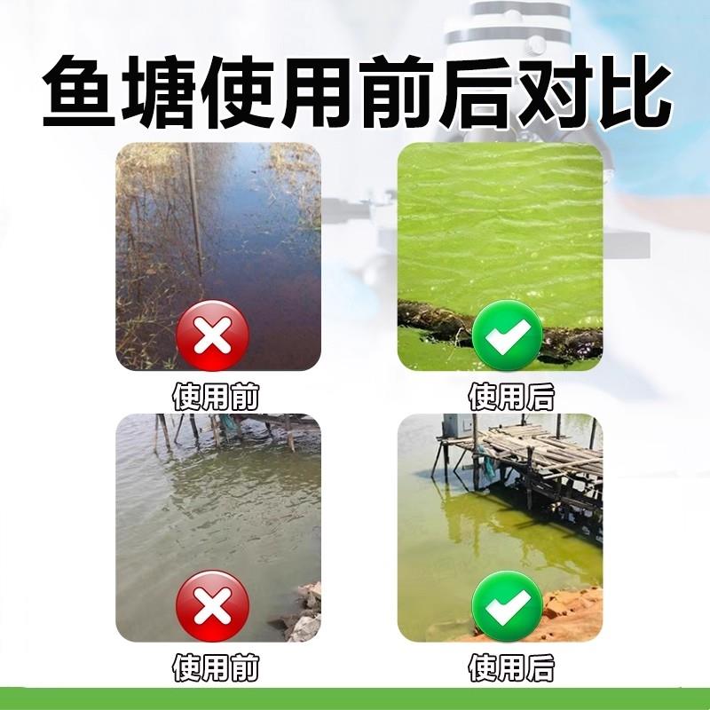 肥水膏水产养殖专用肥水王浓缩鱼塘肥水培藻氨基酸肥水膏小龙虾塘