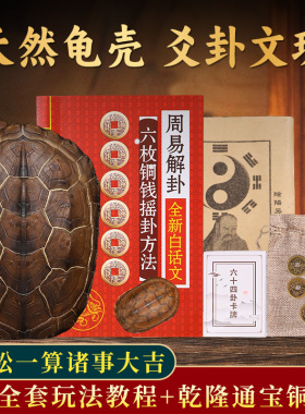 天然乌龟壳文玩六爻摇卦工具真龟甲乾隆铜钱六十四卦用品摆件