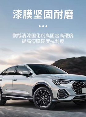 鹦鹉清漆汽车漆套装155  335 447 666清漆固化剂稀释剂抗划痕高亮