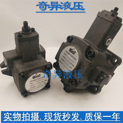 秦川奇斯特QCIST液压VVP 数控机床 VVP15/55 液压泵 变量叶片泵