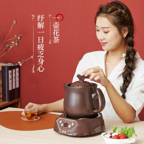 110v养生壶两件药式电煎壶多功能04家全用动陶瓷壶陶自瓷煲智能养