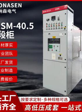 BRSM-40.5分断柜箱型固定式金属封闭开关设备高压环网柜