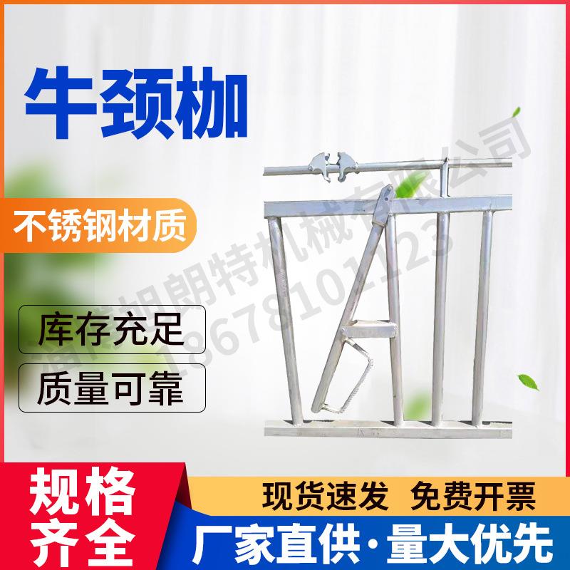 牛颈枷奶牛场农场牧场镀锌双开活位固定分位牛颈夹自锁式牛颈枷