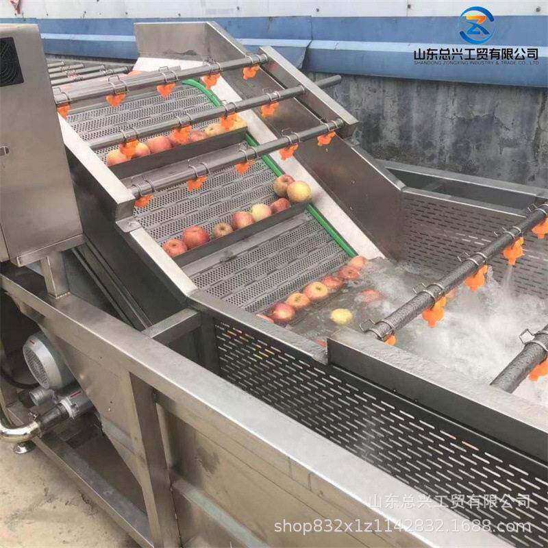 多功能不锈钢大枣枸杞清洗机气泡带喷淋清洗机水果蔬菜清洗设备