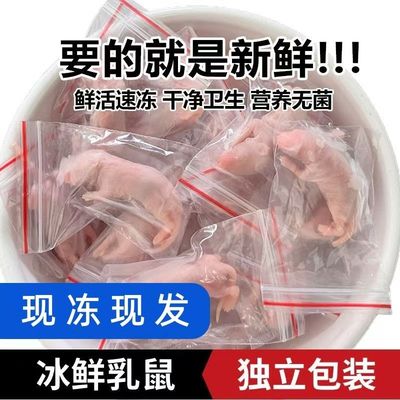乳鼠喂蛇鲜活无菌冻鼠备注小老鼠幼鼠喂蛇饲料红皮独立包装