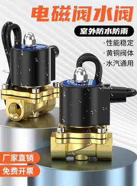 常闭电磁阀2W室外防水控制阀2/3/4/6分1寸2寸淋水阀AC220V/DC24V